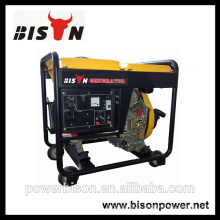 Bison China Zhejiang Engine Starter 3KW Diesel Generator Set